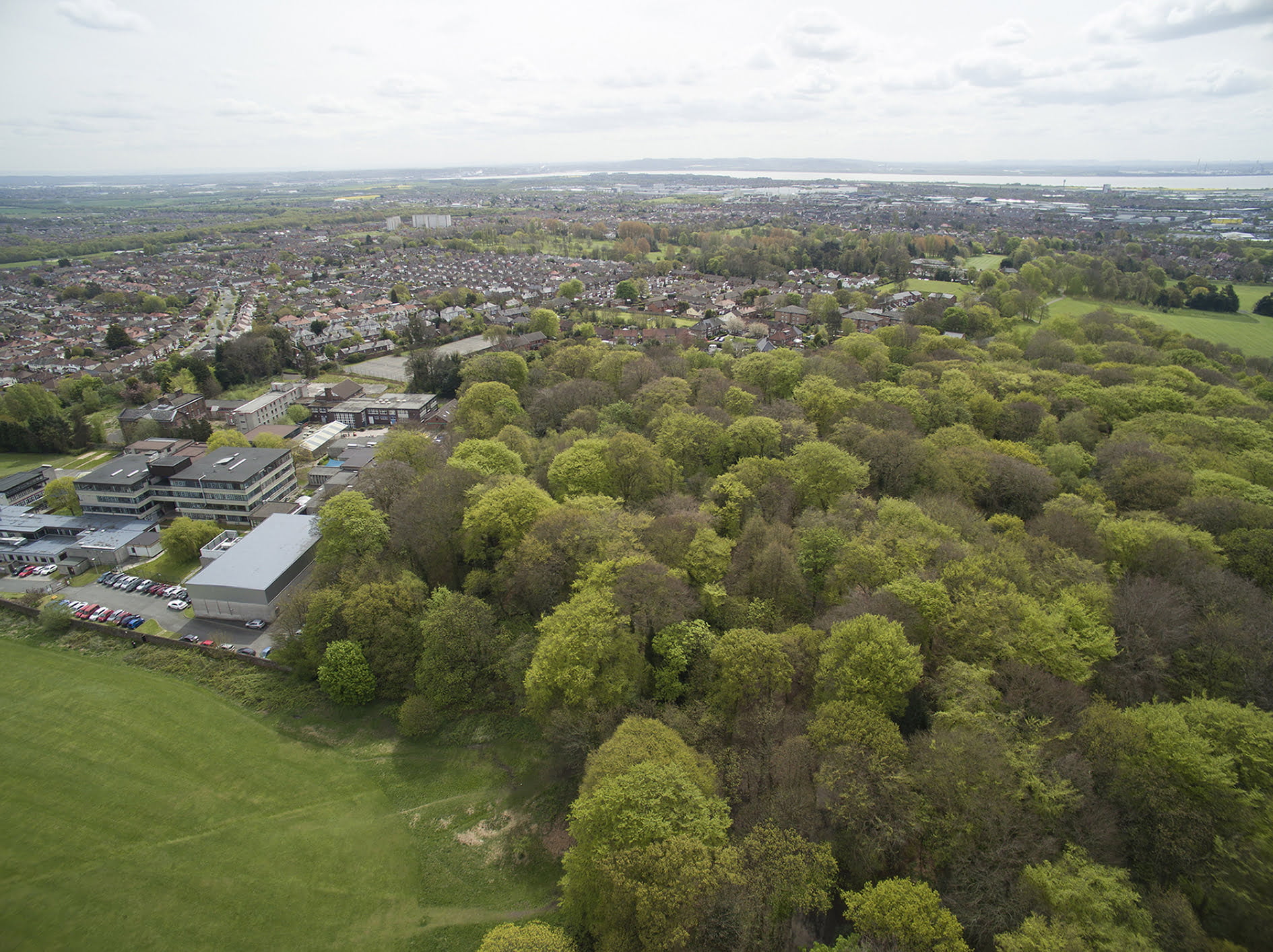 Views wanted over woodland