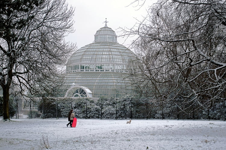 The Snow Queen Set To Visit Sefton Park Palm House