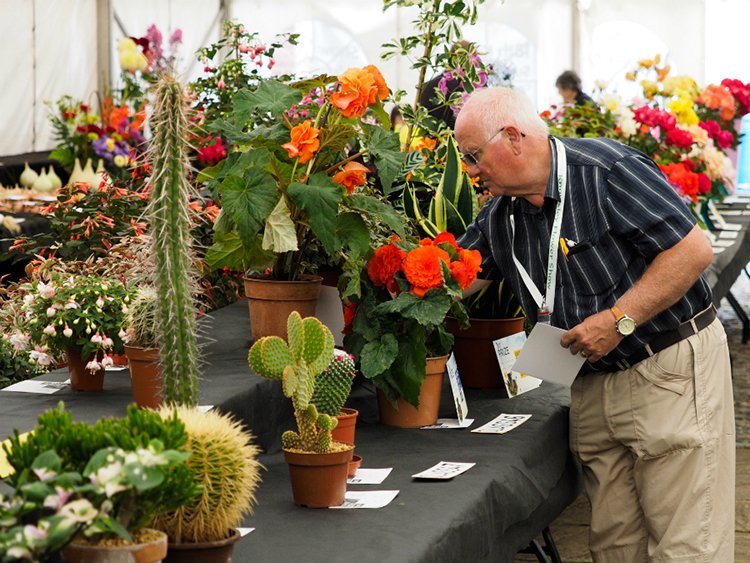 Flower Power comes to Knowsley this summer