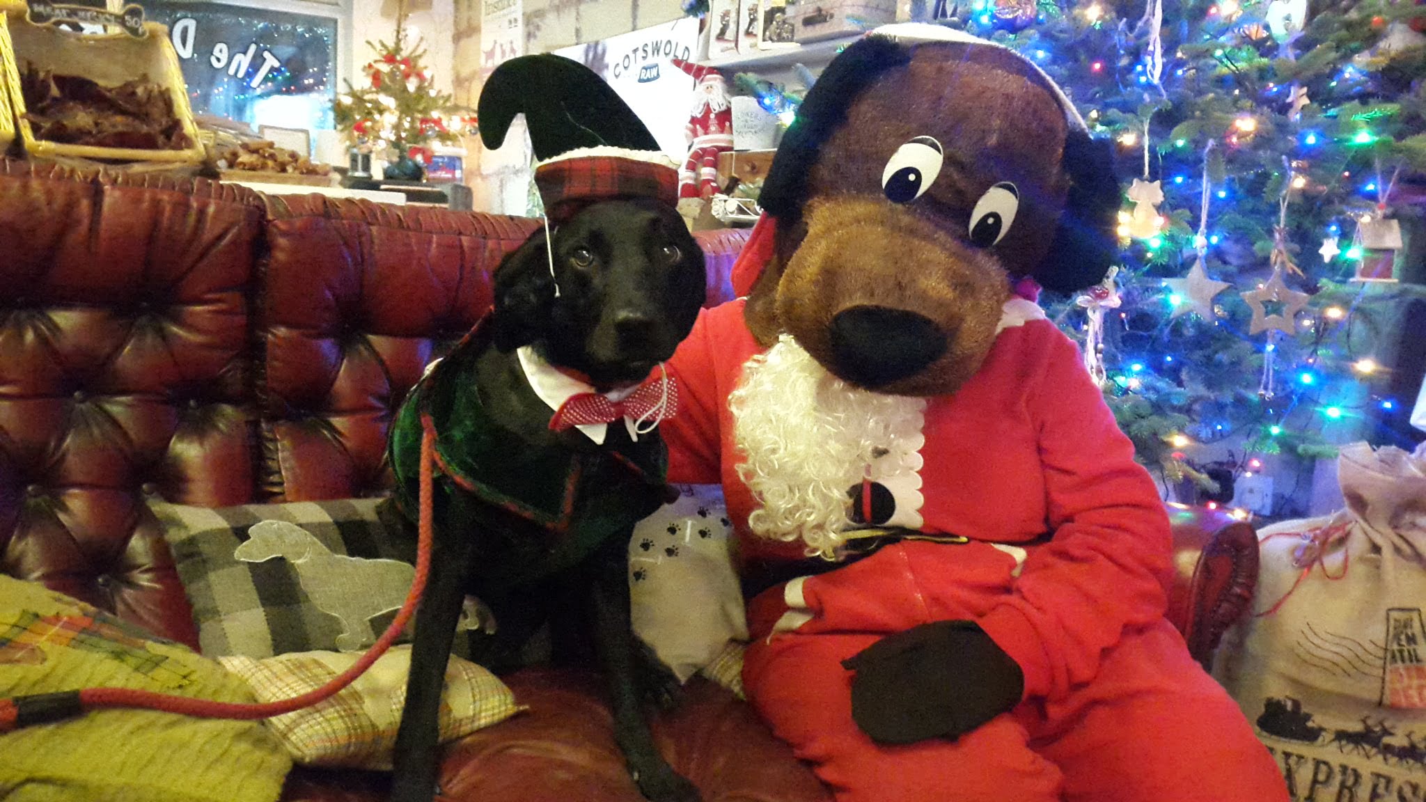 6 things in Liverpool to get you in the Christmas spirit