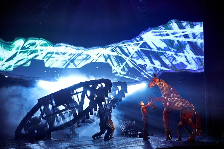 Iconic War Horse to join Remembrance Day event