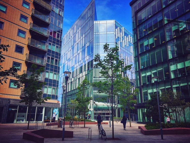 Wellness Day at No. 4 St. Paul’s Square