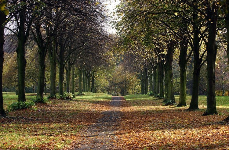 Sefton and Stanley Park named as Great British green spaces