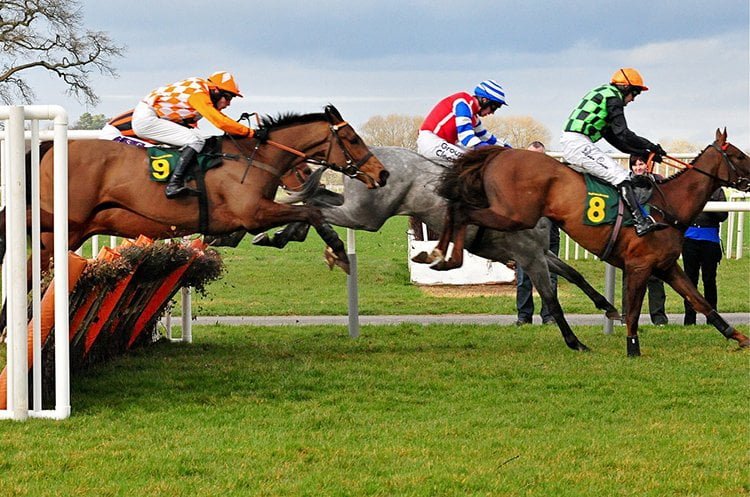Hospice hosts Race Night at Crosby Comrades