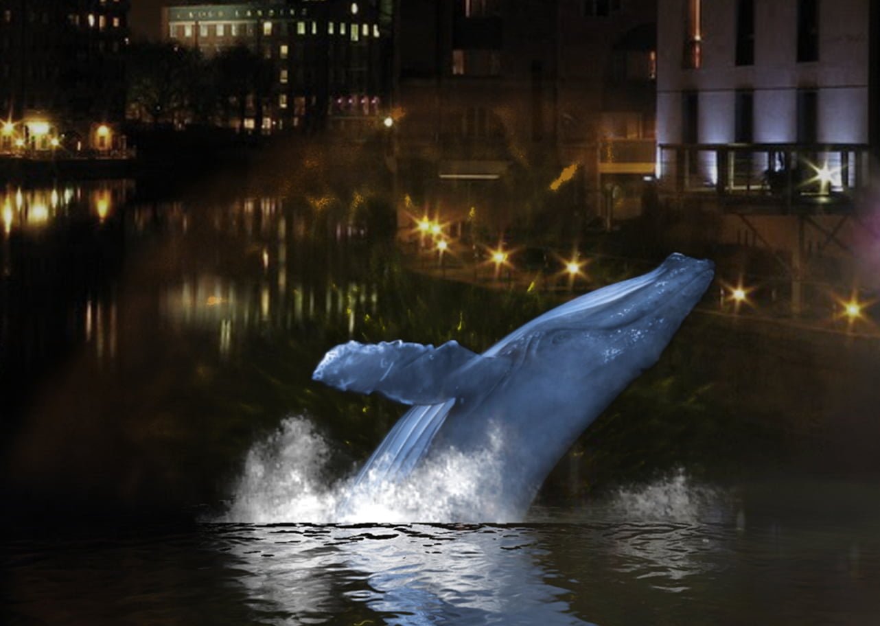 Whale Song