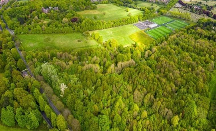 George Harrison’s life celebrated with Liverpool woodland memorial